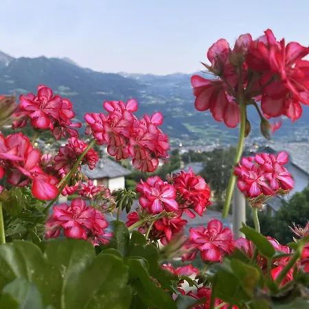 Apartment Grenier Du Coeur *